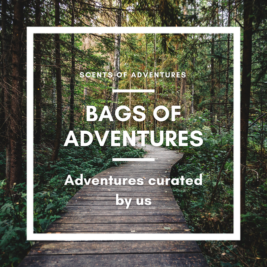 Bags of Adventures